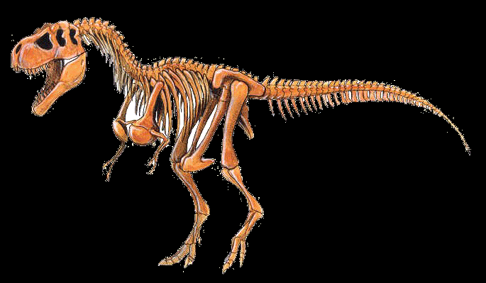 Dinosaurios.gif - Imagui