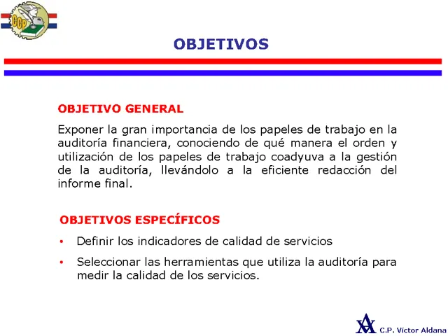 Organización de los papeles de trabajo en la auditoría financiera ...