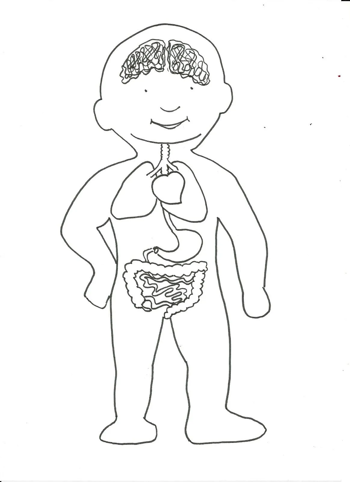Dibujo de los sistemas del cuerpo humano para colorear - Imagui Dibujo de los sistemas del cuerpo humano para colorear - Imagui
