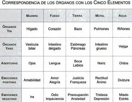 LOS 5 ORGANOS Y SU FUNCION PSICOLOGICA | Energy & Beauty Natural LOS 5 ORGANOS Y SU FUNCION PSICOLOGICA | Energy & Beauty Natural