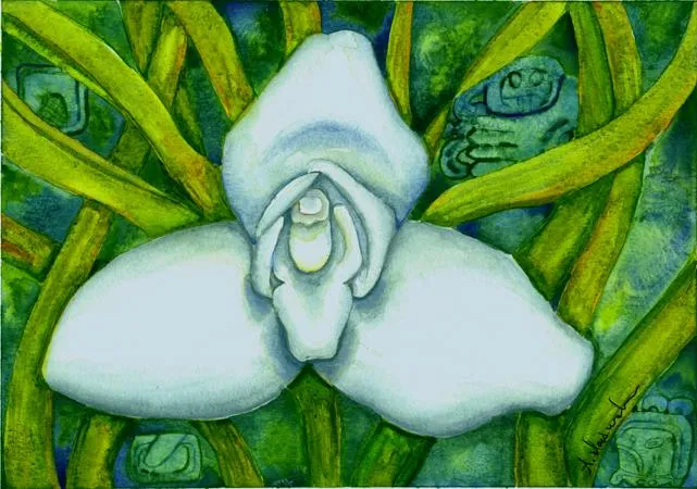 Orgullo Guatemalteco: La Monja Blanca, Flor Nacional de Guatemala Orgullo Guatemalteco: La Monja Blanca, Flor Nacional de Guatemala