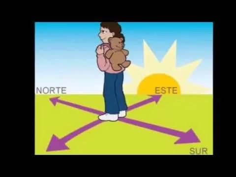 ORIENTARSE EN LA TIERRA: LOS PUNTOS CARDINALES - YouTube