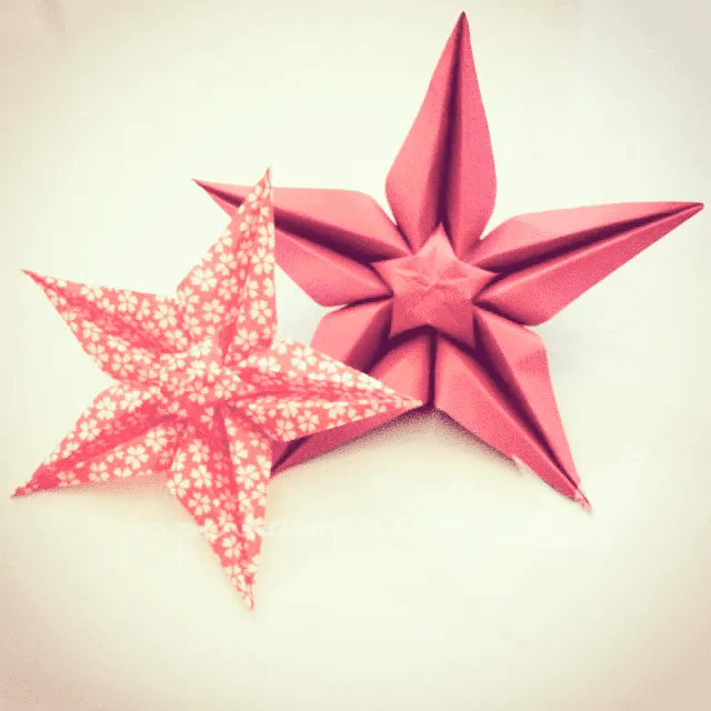 Origami Flowers