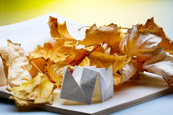 Origami y hojas de otoño — Foto stock © kovalvs #9086653