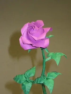 Origami | papiroloca