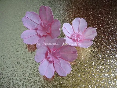 Origami Sakura flower / おりがみ・桜の花 | Flickr - Photo Sharing! Origami Sakura flower / おりがみ・桜の花 | Flickr - Photo Sharing!