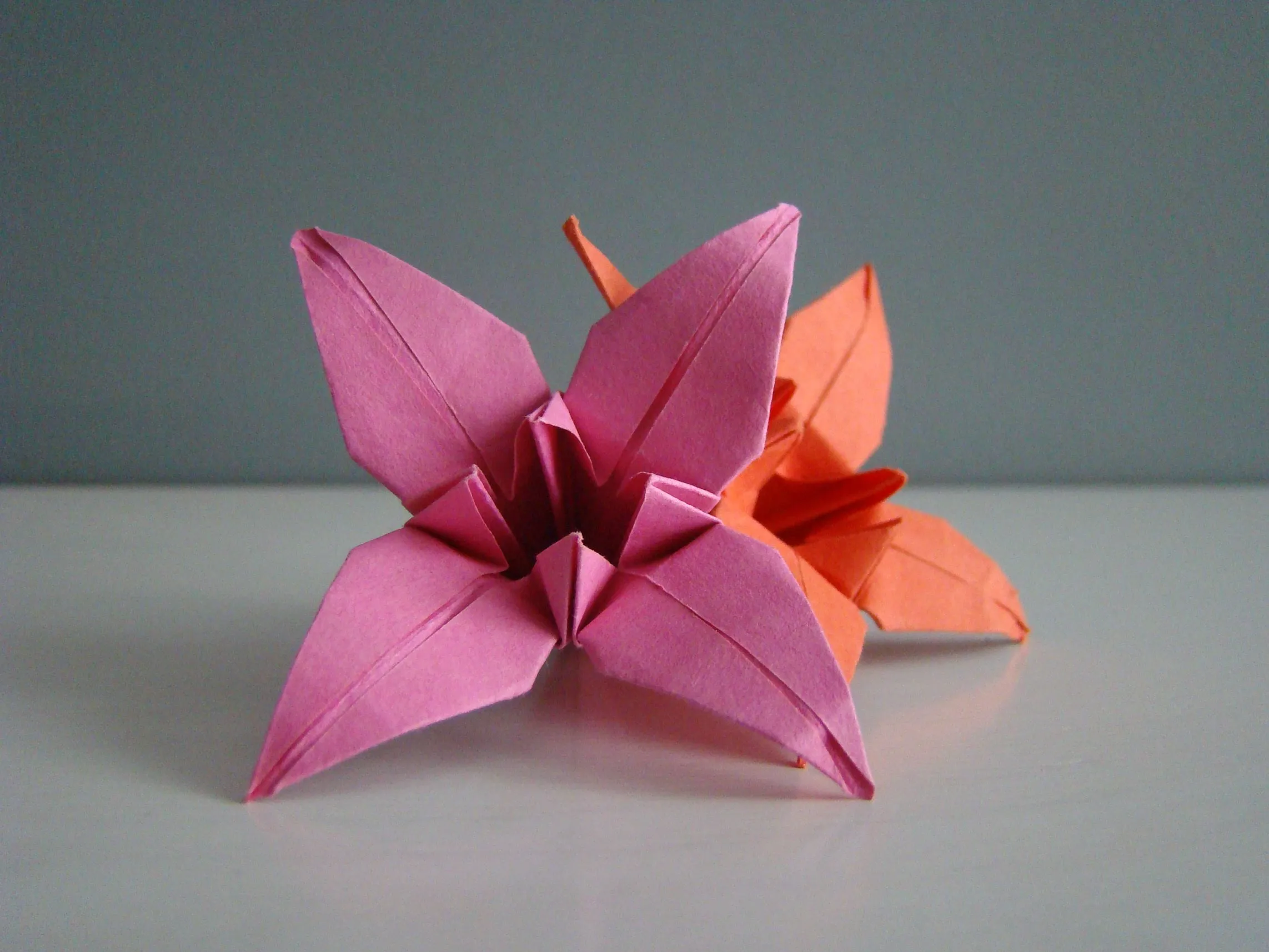 Origami | Txori Buru