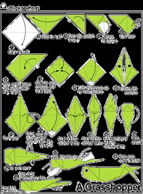 OrigamiAlcobendas: Como hacer papiroflexia de animales, flores y ... OrigamiAlcobendas: Como hacer papiroflexia de animales, flores y ...