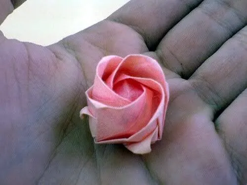 origami_.jpg