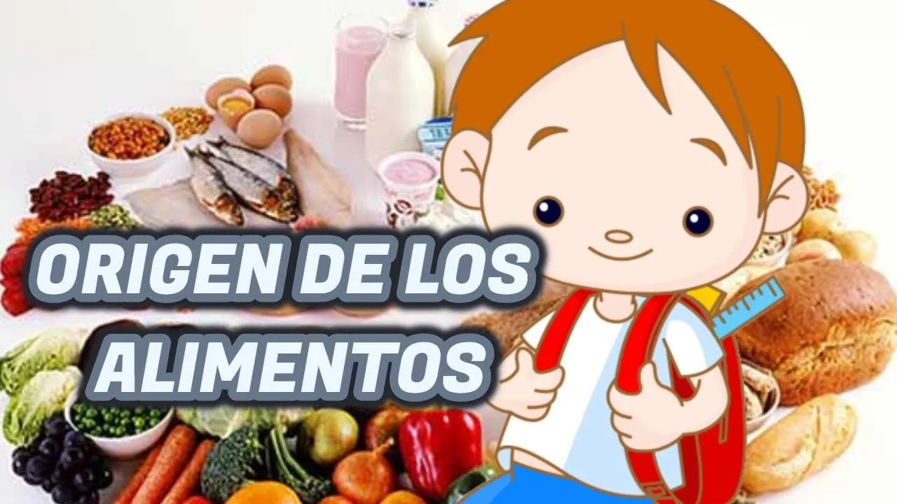 ORIGEN DE LOS ALIMENTOS -ANIMAL,VEGETAL Y MINERAl - YouTube