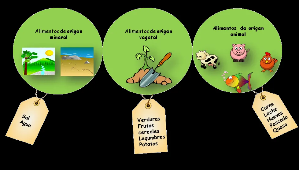 El origen de los alimentos ~ Salud y bienestar El origen de los alimentos ~ Salud y bienestar