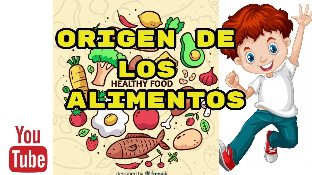Origen de los alimentos , vegetal , animal y mineral (PARA NIÑOS )/video educativo - YouTube Origen de los alimentos , vegetal , animal y mineral (PARA NIÑOS )/video educativo - YouTube