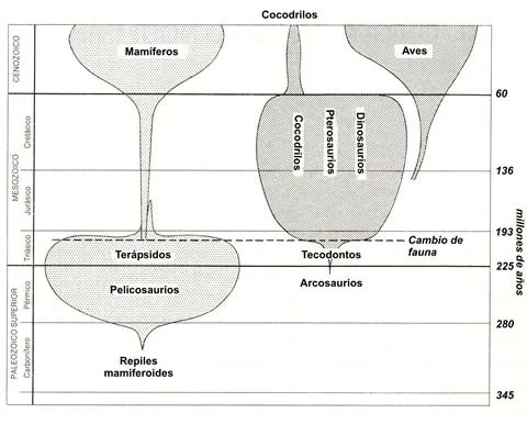 Origen y evolución de los reptiles y dinosaurios Origen y evolución de los reptiles y dinosaurios