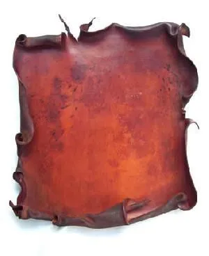 El origen del libro | Historiadores Histéricos