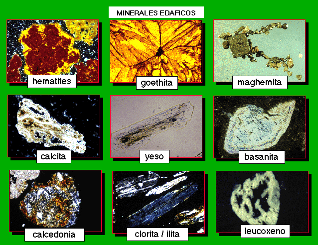 Origen mineral y alteraciones. Mineralogia arenas Origen mineral y alteraciones. Mineralogia arenas