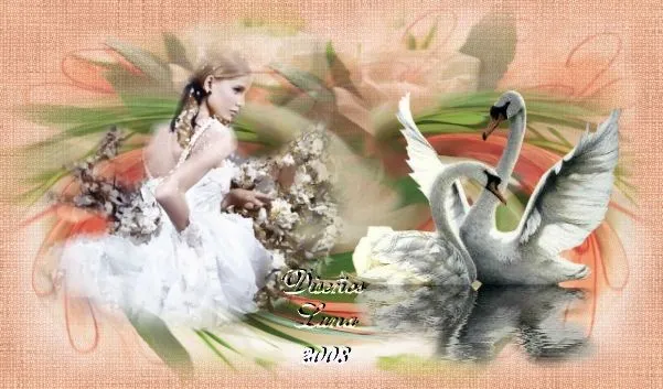 Orinoco Padre Rio: CISNES