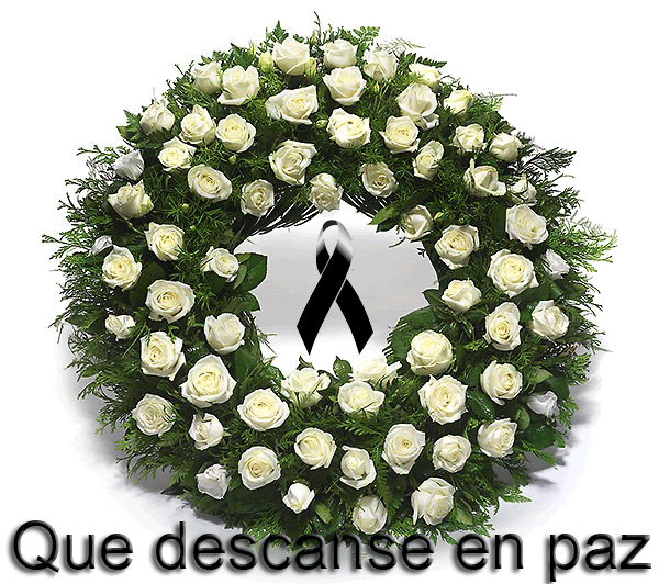 E L PE R R O V E R D E V E R D E: REQUIESCAT IN PACE E L PE R R O V E R D E V E R D E: REQUIESCAT IN PACE