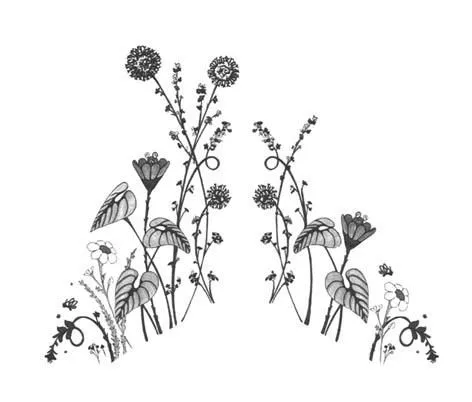 Adornos para fotos - Imagui