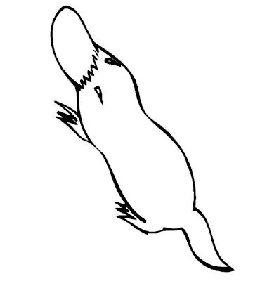 ... Bruno.....: IMAGENS DE ANIMAIS PARA COLORIR