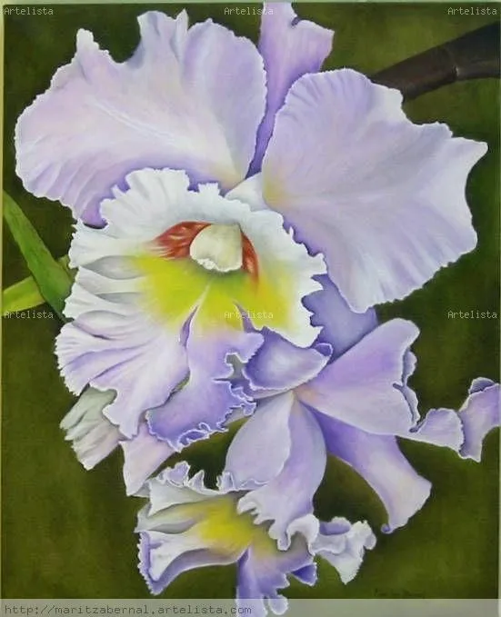 Orquidea Colombiana MARITZA BERNAL - Artelista.