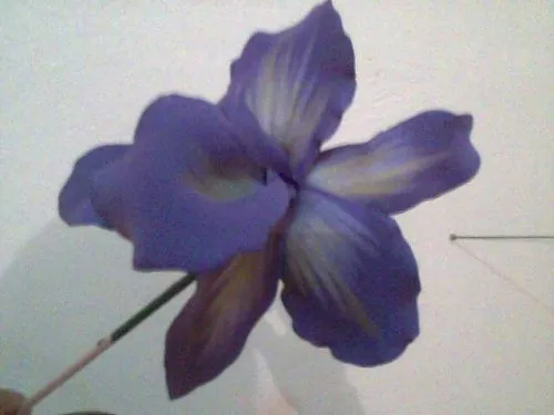 Como hacer una orquidea de foami paso a paso - Imagui Como hacer una orquidea de foami paso a paso - Imagui