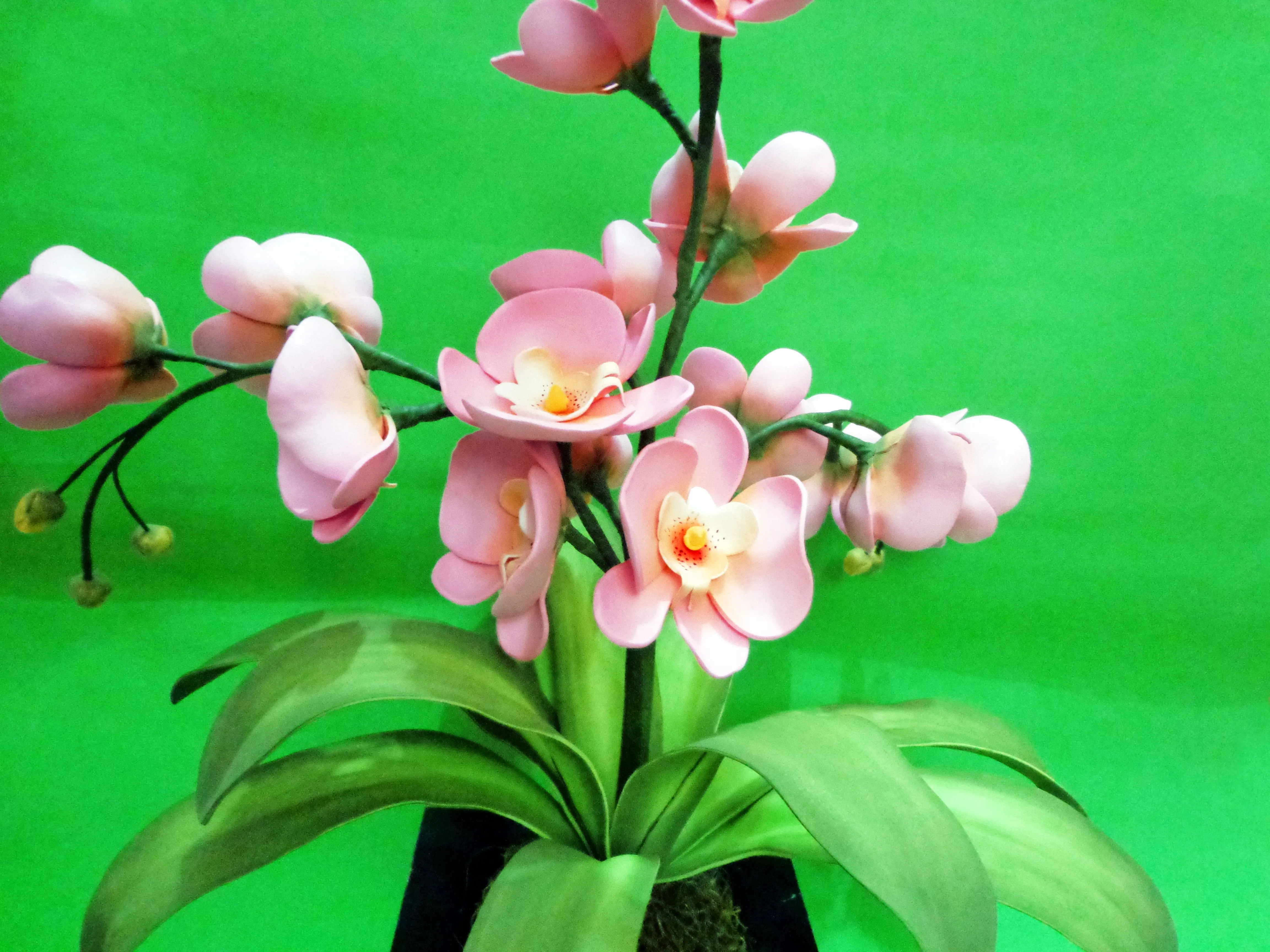 ORQUIDEA HECHA CON FOAMI Orquídea de Eva | Flores de fomix, Rosas en goma eva, Manualidades ORQUIDEA HECHA CON FOAMI Orquídea de Eva | Flores de fomix, Rosas en goma eva, Manualidades