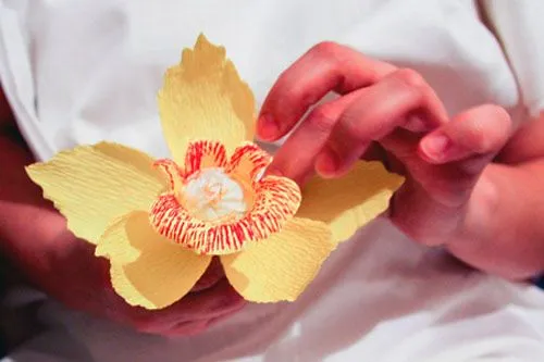 Orquidea de papel - Imagui