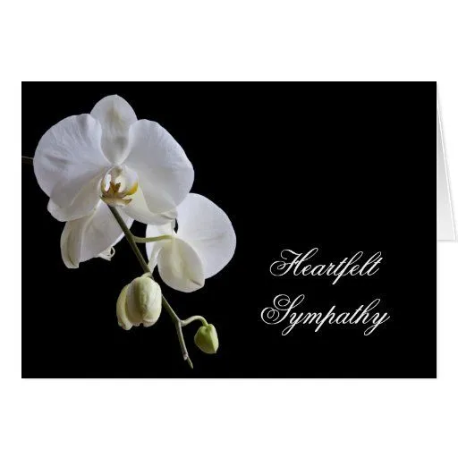 Orquídea en tarjeta de condolencia negra de Zazzle. Orquídea en tarjeta de condolencia negra de Zazzle.
