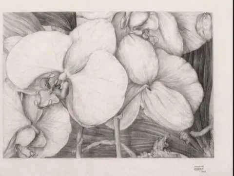 Orquídea-Víctor Landeira - YouTube