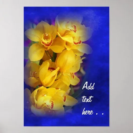 Orquídeas amarillas hermosas en fondo azul profund posters de Zazzle.