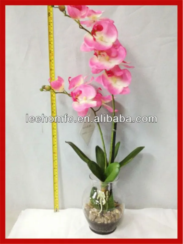 Orquídeas blancas flores en el vidrio jarrones para arreglos ...