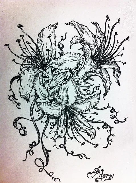 Orquideas dibujo a lapiz - Imagui