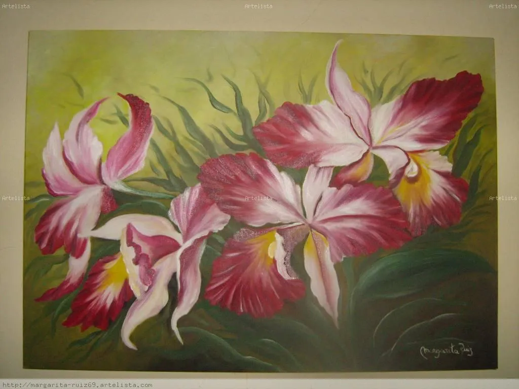 Orquideas Margarita Ruiz - Artelista.