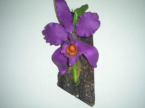 Imagen orquidea de masa flexible - grupos.emagister.com