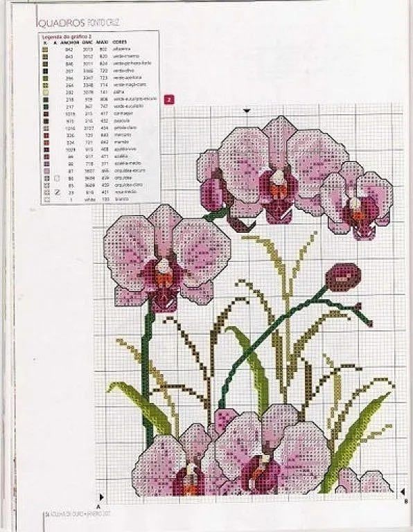 Busco grafico de Orquideas | Aprender manualidades es facilisimo.com Busco grafico de Orquideas | Aprender manualidades es facilisimo.com
