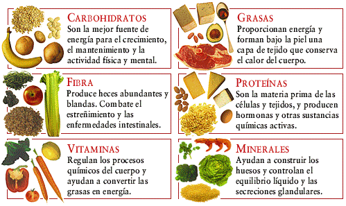 ORTOMOLECULAR FORCE: NO EXISTEN ENFERMEDADES, SINO DEFICIENCIA DE ... ORTOMOLECULAR FORCE: NO EXISTEN ENFERMEDADES, SINO DEFICIENCIA DE ...