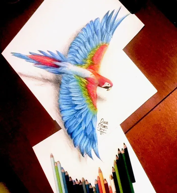 Oscar Olivares on Twitter: "Guacamaya dibujada con lápices de ... Oscar Olivares on Twitter: "Guacamaya dibujada con lápices de ...