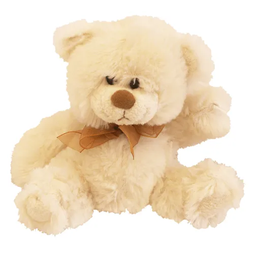 Oso de peluche png - Imagui