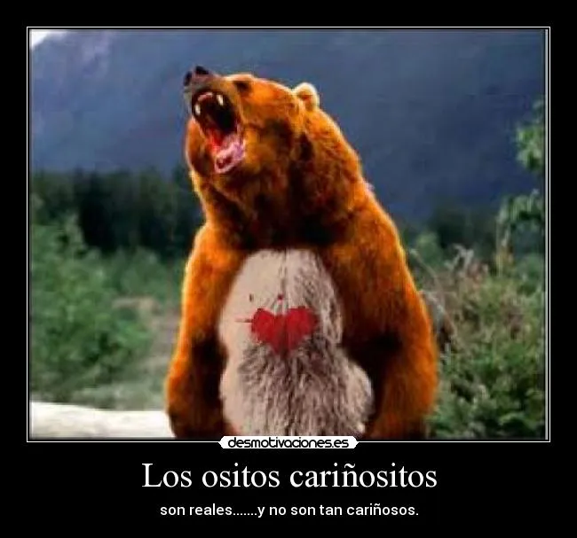 Los ositos cariñositos | Desmotivaciones