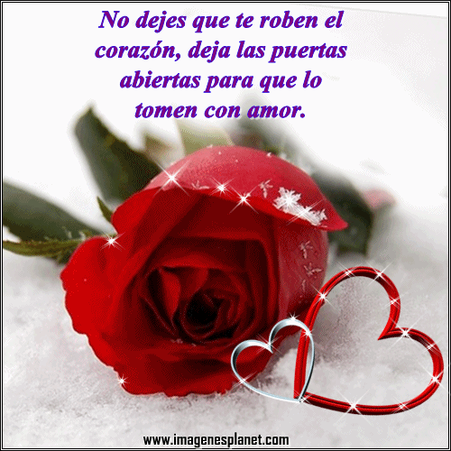 ositos conmovimientos | imagenes y fotos de amor con frases poemas ... ositos conmovimientos | imagenes y fotos de amor con frases poemas ...
