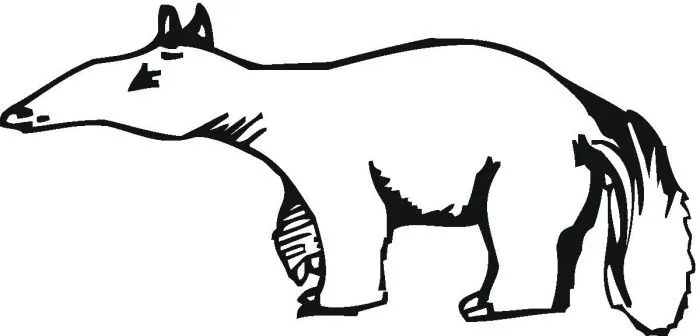 Oso hormiguero para colorear