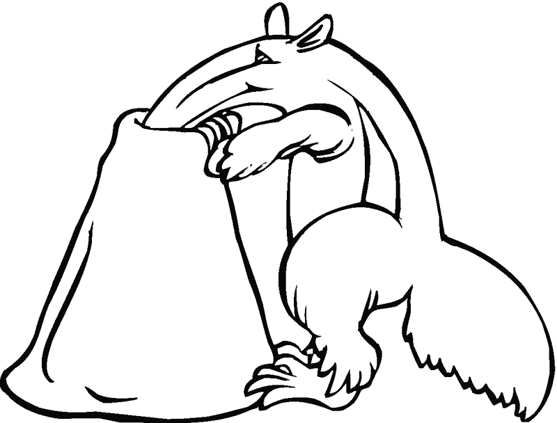 Oso hormiguero para colorear