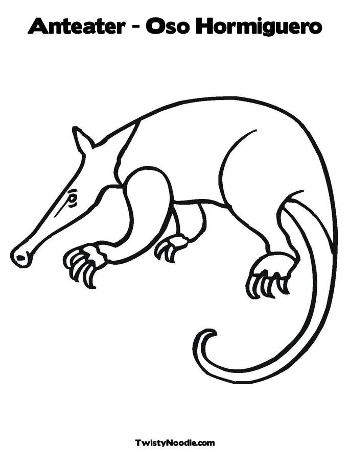 oso frontino Colouring Pages