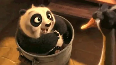Oso Panda GIFs on Giphy
