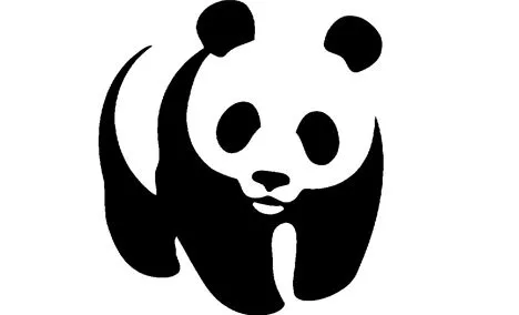 Oso Panda de Wolong | Planeta Verde