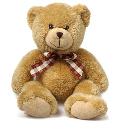 Oso de peluche - Envolturas y Regalos "FAL" Oso de peluche - Envolturas y Regalos "FAL"