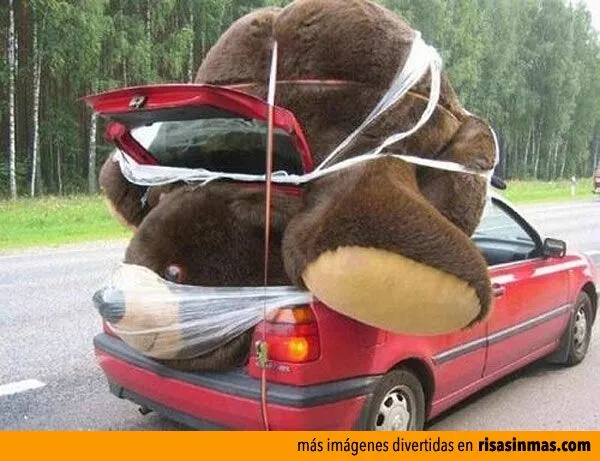 Imágenes divertidas de Osos de peluche