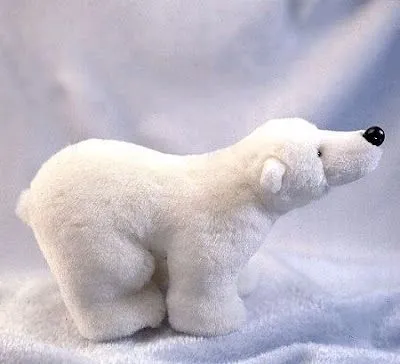 oso polar