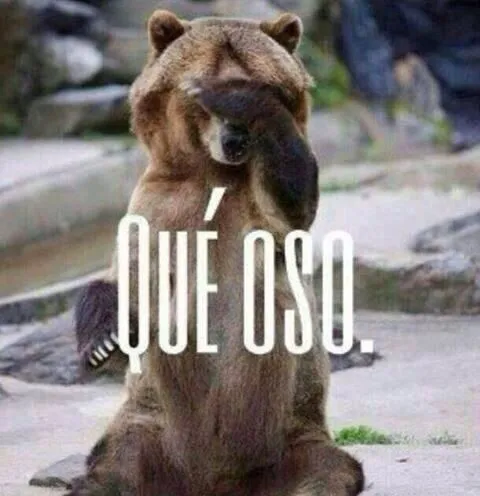 Oso polar goeeeyy http://www.gorditosenlucha.com/ | Memes español ... Oso polar goeeeyy http://www.gorditosenlucha.com/ | Memes español ...