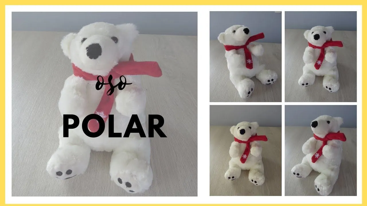 OSO POLAR SENTADO - YouTube